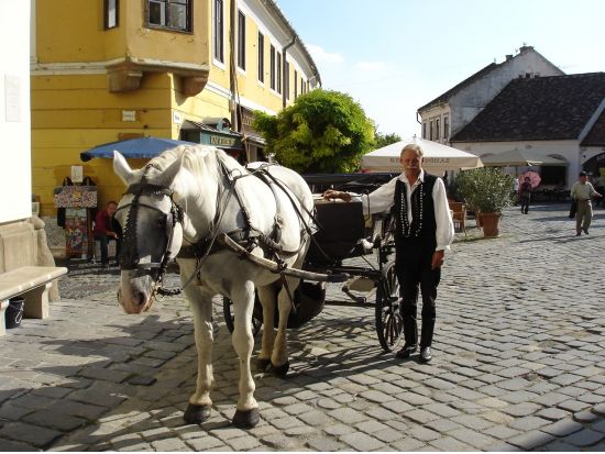 バロックの町センテンドレ半日観光＜貸切／日本語ガイド／ブダペスト発＞