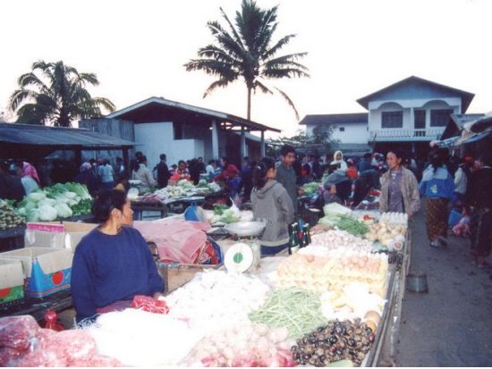 のどかな田舎町ルアンナムターを自由観光2泊3日の旅 少数民族の村へ訪問できる！ ＜宿泊／日本語ガイド／交通費＆宿泊付／ルアンパバーン発＞