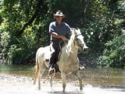 cairns horseback riding