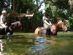 cairns horseback riding