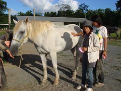 cairns horseback riding