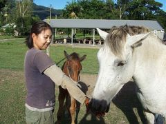 cairns horseback riding