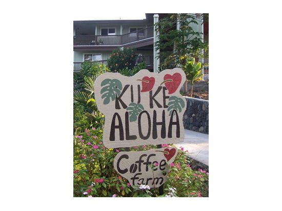 ハワイ島　大自然の中のアットホームなゲストハウスに宿泊！Ku Ke Aloha Guest House