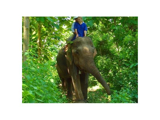 ラオスの魅力にどっぷり浸かる大自然触れ合いツアー！ 象乗り体験＋クアンシー滝＋モン族村＋パーノン村  ＜終日／昼食付／日本語ガイド／ルアンパバーン発着＞