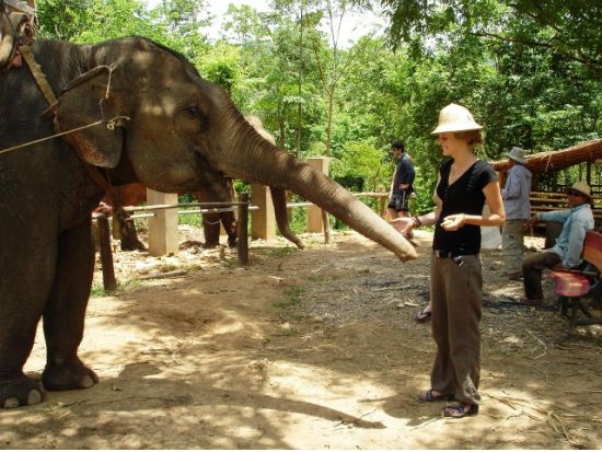 象使いライセンス取得ツアー  象を自由に乗りこなそう！＜宿泊／英語ガイド／交通費＆宿泊＆食事付／ルアンパバーン発＞
