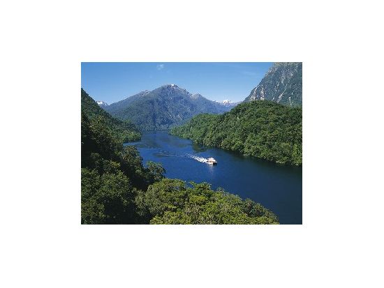 世界遺産フィヨルドランド国立公園　ダウトフルサウンド1日観光ツアー＜英語ガイド／クイーンズタウン発＞