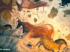 ラスコー洞窟複製 解説展示センター ラスコーiv 見学ツアー 4 10月 終日 英語ドライバー ドルドーニュ発 フランス フランス地方都市 旅行の観光 オプショナルツアー予約 Veltra ベルトラ