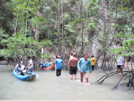 シーカヌーアドベンチャー　カヌーに乗って自然のつくり出した鍾乳洞やラグーン探検へ出かけよう！ ＜船上ビュッフェランチ／日本語ガイド／ホテル送迎付き／終日＞