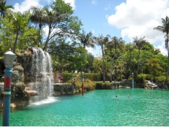 マイアミ市内観光　半日で名所を巡るハイライト観光ツアー ＜日本語ドライバーガイド＞