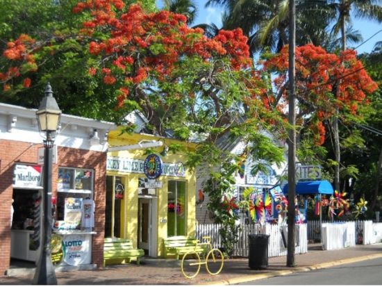 キーウェスト＆絶景セブンマイル・ブリッジ　日帰り観光ツアー ＜昼食付き／日本語ドライバーガイド＞