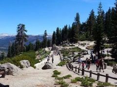 Yosemite /グレーシャーポイントツアー