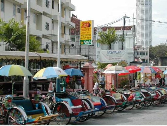 自由に観光！日本語ガイド＆車チャーター＜午前or午後or1日／ペナン発＞