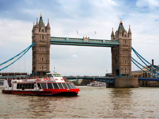 テムズ川 アフタヌーンティークルーズ ＜現地集合・解散＞by シティクルーズ