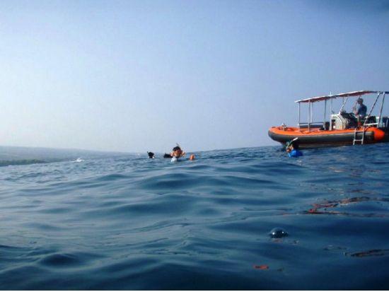 貸切ボートチャーター　スピードボートで爽快クルージング！冬季はホエールウォッチングも楽しめる＜1～6名／2・4時間／ケアウホウ湾発＞