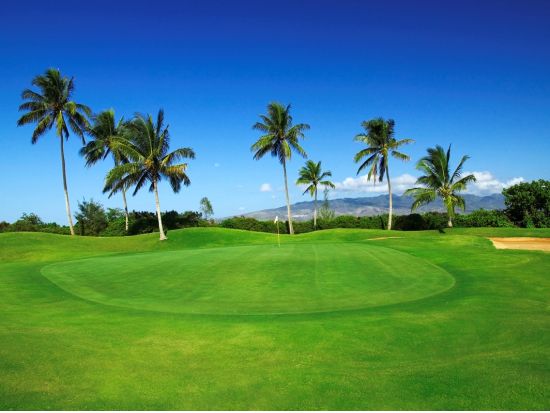 ハワイプリンス・ゴルフクラブ　ゴルフ場予約 ＜初級者～中級者＞