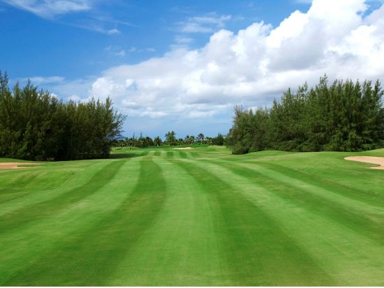 ハワイプリンス・ゴルフクラブ　ゴルフ場予約 ＜初級者～中級者＞