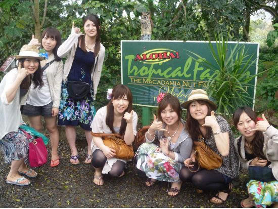 バン・ミニバス貸切チャーター　ハワイでのグループ旅行に最適！最大25名まで乗車可能＜1～25名／6～8時間／日本語ドライバーガイド＞