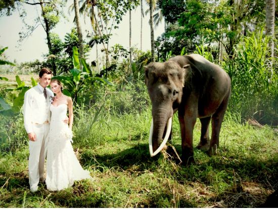 バリ島フォトウエディング　大自然と象がお二人を祝福！一生の思い出に残るメモリアル・フォトウェディング