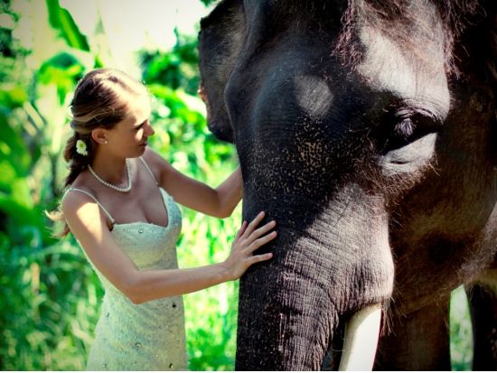 バリ島フォトウエディング　大自然と象がお二人を祝福！一生の思い出に残るメモリアル・フォトウェディング