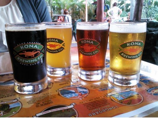 ハワイ島　貸切チャーター（1-6名） 空港送迎可能でアレンジ自在の観光プラン＜3-12時間／日本語ガイド＞