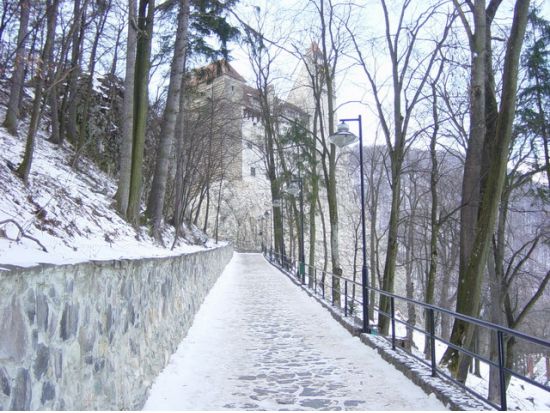 カルパチア山脈の真珠シナイア＆ドラキュラ城 日帰り観光ツアー＜貸切チャーター／ブカレスト発＞