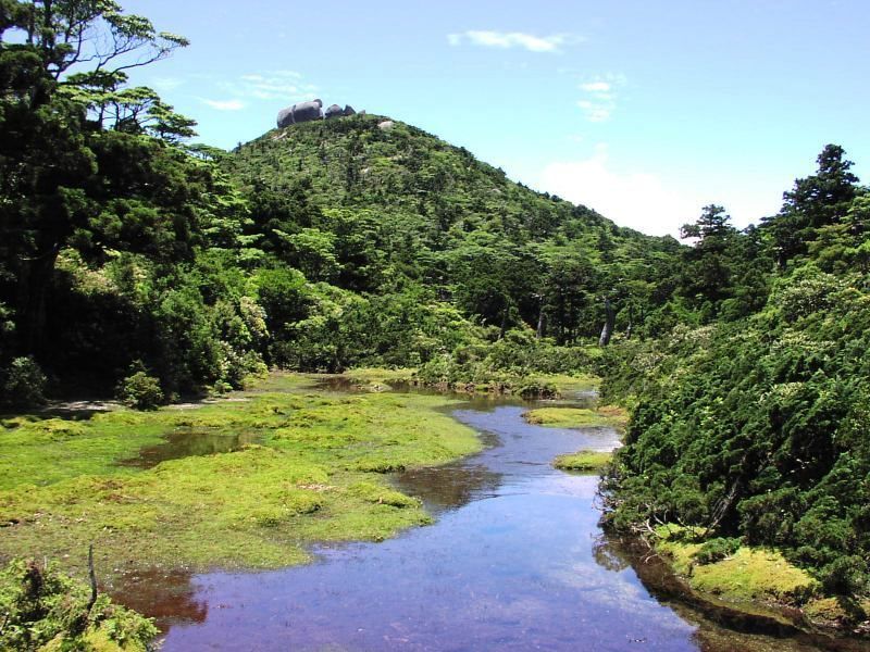 宮之浦岳 永田岳 花山 1泊2日キャンプツアー By オフィスまなつ 屋久島の観光 オプショナルツアー専門 Veltra ベルトラ