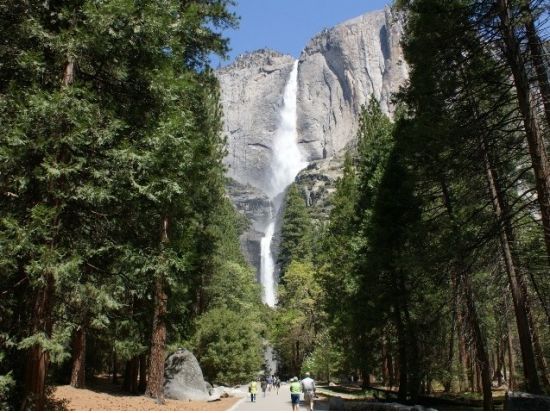 2大国立公園1泊2日ツアー　世界遺産ヨセミテ国立公園＆セコイア国立公園 ＜日本語ガイド／ロサンゼルス発＞