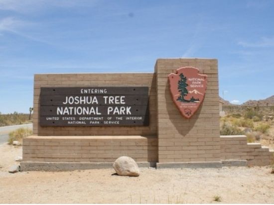 ジョシュアツリー国立公園 日帰り観光ツアー　砂漠の中のリゾートパームスプリングス立ち寄り ＜日本語ガイド＞