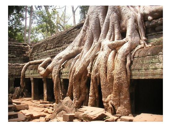アンコール・トム＋タ・プローム2大遺跡観光ツアー アンコールバルーン乗船追加可能＜貸切／午前または午後／ベテラン日本語ガイド＞
