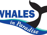 Whales in Paradise logo