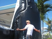 man hugging humpback whale statue