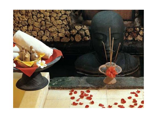 【バリ島文化体験】人気スパで学ぶインドネシアの秘薬「ジャムゥ」作り体験＜現地集合・解散＞