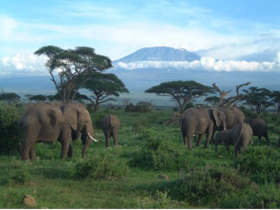 【ナイロビ発着 4泊5日】ベストオブケニア！サファリ満喫5日間ツアー＜混載or貸切／食事付／英語／日本語オプション／市内ホテルor空港送迎＞