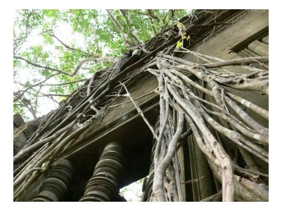 ベンメリア+トンレサップ湖クルーズ付き1日観光ツアー＜昼食付／専用車プラン＆お洒落なクメールレストランでのアプサラダンスディナーショー付きプランあり＞