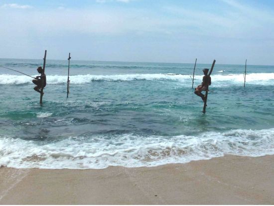 世界遺産ゴール＆ボートサファリ 1日観光ツアー　ストルトフィッシング体験付き ＜貸切／日本語ガイド＞