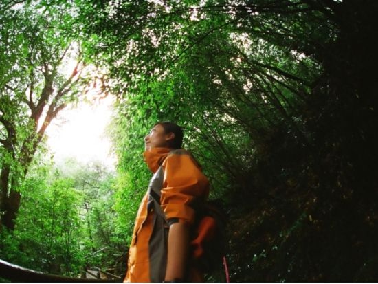 白谷雲水峡（苔むす森まで）トレッキング＋リバーカヤック 1日ツアー ＜昼弁当付／宮之浦～安房エリア送迎可能＞by 屋久島ガイドクラブ