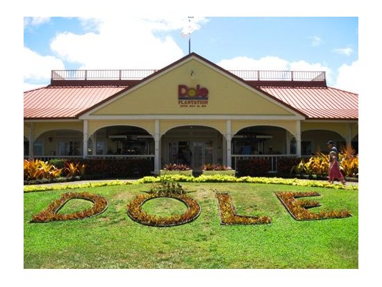 カイルア＋ノースショア（ハレイワ）観光　フリータイムたっぷり1日満喫ツアー！ワイケレアウトレットでショッピング付き＜貸切プランあり＞