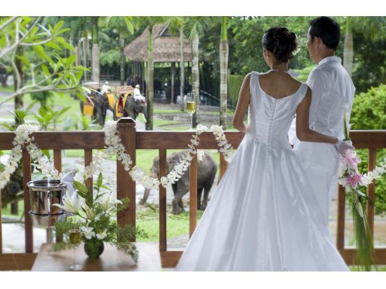 バリ島ウエディング　象に囲まれた幸せな空間で一生の思い出に残る結婚式☆エレファント・ウェディング