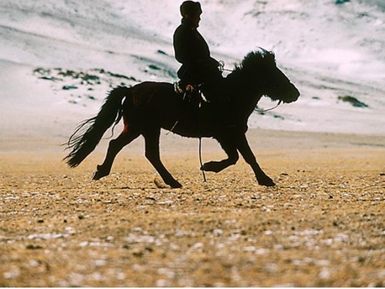 【2泊3日・5～10月限定】大草原を駆ける！たっぷり15kmの乗馬トレッキング＆テレルジ国立公園＜食事付き／日本語ガイド／ウランバートル発＞