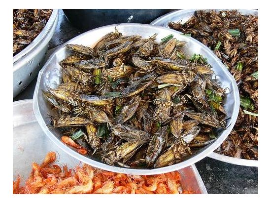 カンボジアの夜を満喫・ナイトマーケットツアー＜シェムリアップ発＞