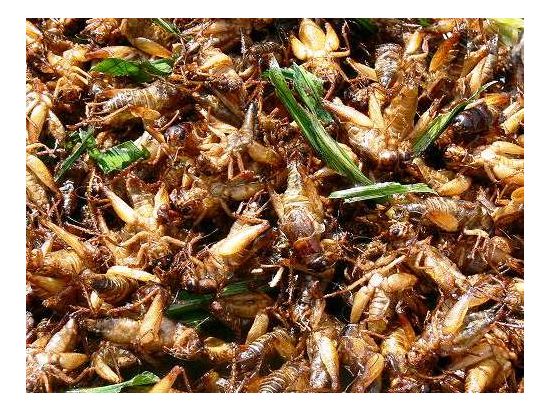 カンボジアの夜を満喫・ナイトマーケットツアー＜シェムリアップ発＞