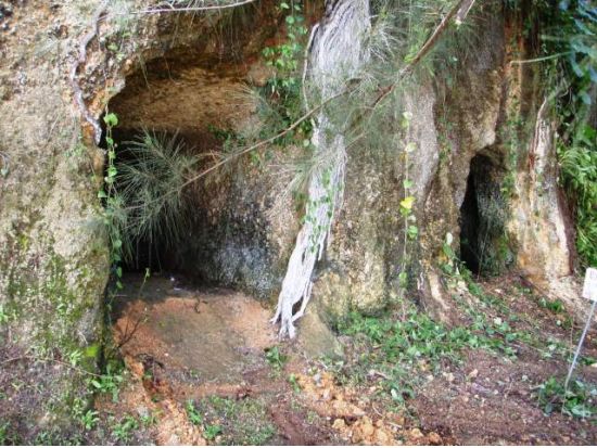 ケン芳賀によるグアム太平洋戦争戦跡巡りツアー ～その時この場所では何が起きたのか～＜日本語ガイド／昼食付き／送迎付き／貸切プランあり＞