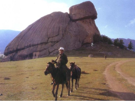【1泊2日・5～10月限定】野生動物に出会う旅！グンガルート自然保護区＆テレルジ国立公園 自然満喫ツアー＜食事付き／日本語ガイド／ウランバートル発＞