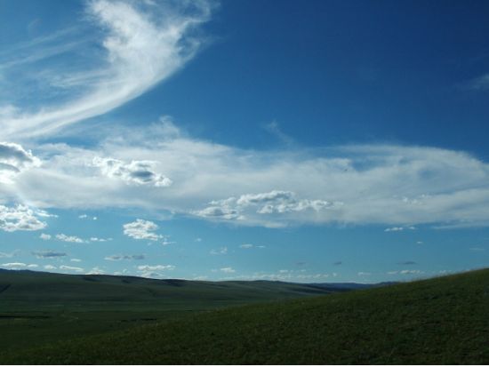 【1泊2日・5～10月限定】野生動物に出会う旅！グンガルート自然保護区＆テレルジ国立公園 自然満喫ツアー＜食事付き／日本語ガイド／ウランバートル発＞