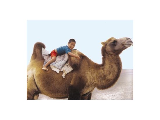 【3泊4日】寝台列車で巡る大草原！東ゴビ砂漠の自然を満喫＆ラクダ乗り体験＜食事付き／日本語ガイド／ウランバートル発＞