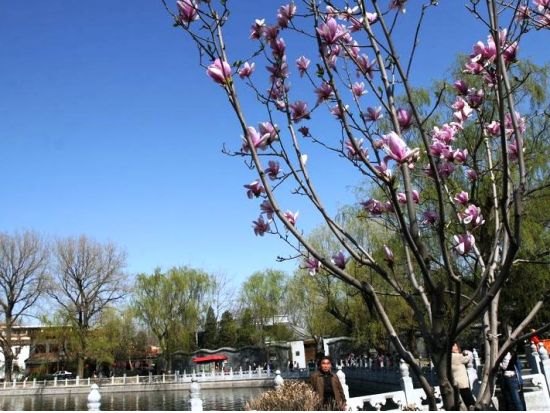 充実した北京旅行をサポート！日本語ガイド手配＜半日・終日＞