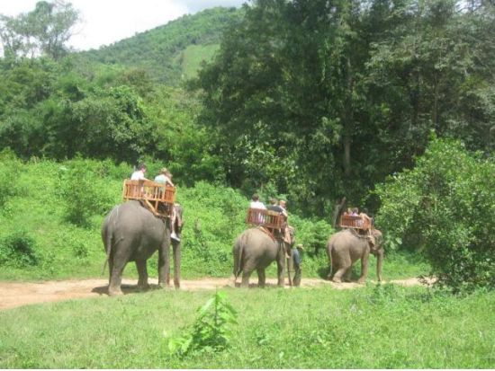 世界遺産ルアンパバーン市内観光＆ゾウ乗り体験ツアー 王宮博物館＋寺院＋プーシーの丘など人気観光スポットを満喫 ＜終日／日本語ガイド／昼食付／ルアンパバーン発＞