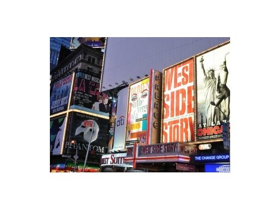 ニューヨーク 貸切観光チャーター　自由にめぐるプライベート観光 ＜1～13名／4～8時間／日本語ドライバーガイド／空港送迎可＞