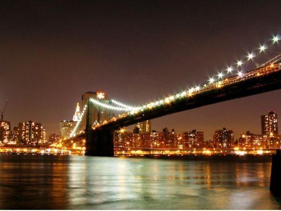 ニューヨーク夜景観賞ツアー　ブルックリン・ブリッジ＋ハミルトン・パーク＋ガントリープラザ州立公園＜日本語ドライバーガイド／貸切＞ 