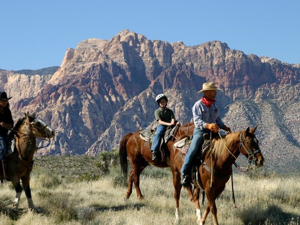 Fossil Ridge Canyon Horseback Ride tours, activities, fun things to do
